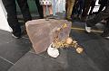 B-a-07_Galerie Lux_IMG_10381
